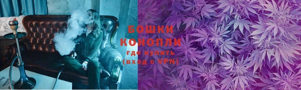 шишки Бронницы